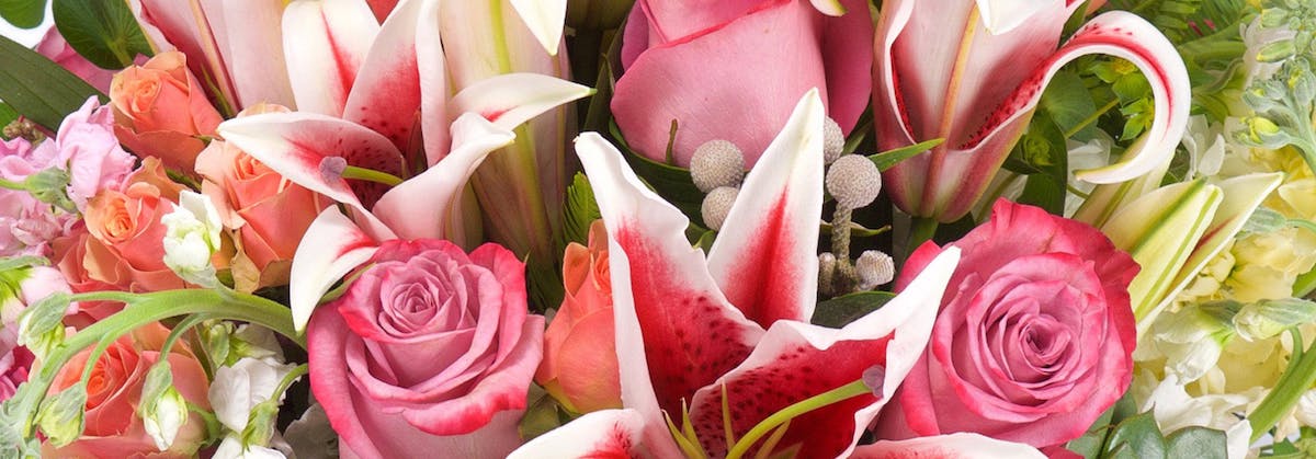 生意轉讓葵涌花店香港創業・頂讓・生意頂讓・頂手・生意買賣・買生意