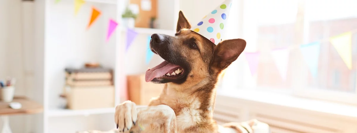 生意轉讓葵涌Party Room香港創業・頂讓・生意頂讓・頂手・生意買賣・買生意