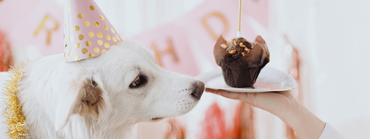 生意轉讓觀塘Party Room香港創業・頂讓・生意頂讓・頂手・生意買賣・買生意