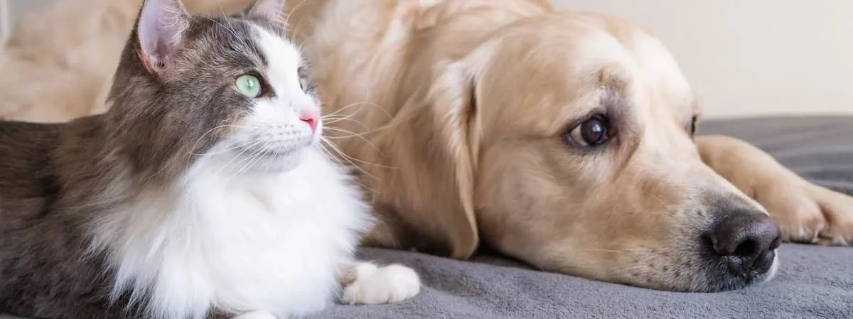 生意轉讓網上網上生意香港創業・頂讓・生意頂讓・頂手・生意買賣・買生意