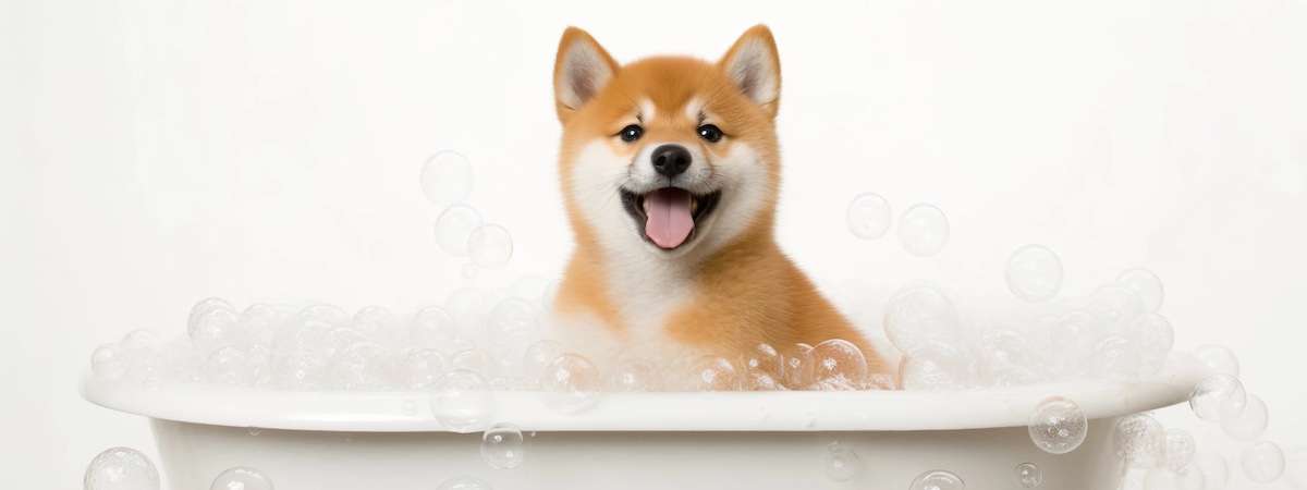 生意轉讓深水埗寵物香港創業・頂讓・生意頂讓・頂手・生意買賣・買生意