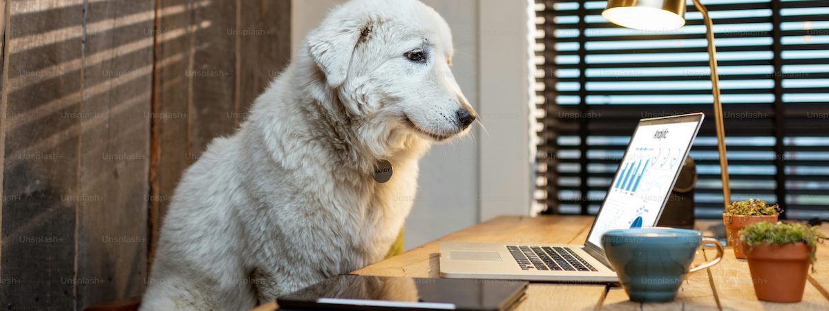 生意轉讓網上網上生意香港創業・頂讓・生意頂讓・頂手・生意買賣・買生意