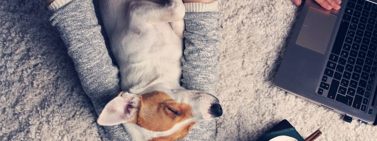 生意轉讓網上網上生意香港創業・頂讓・生意頂讓・頂手・生意買賣・買生意