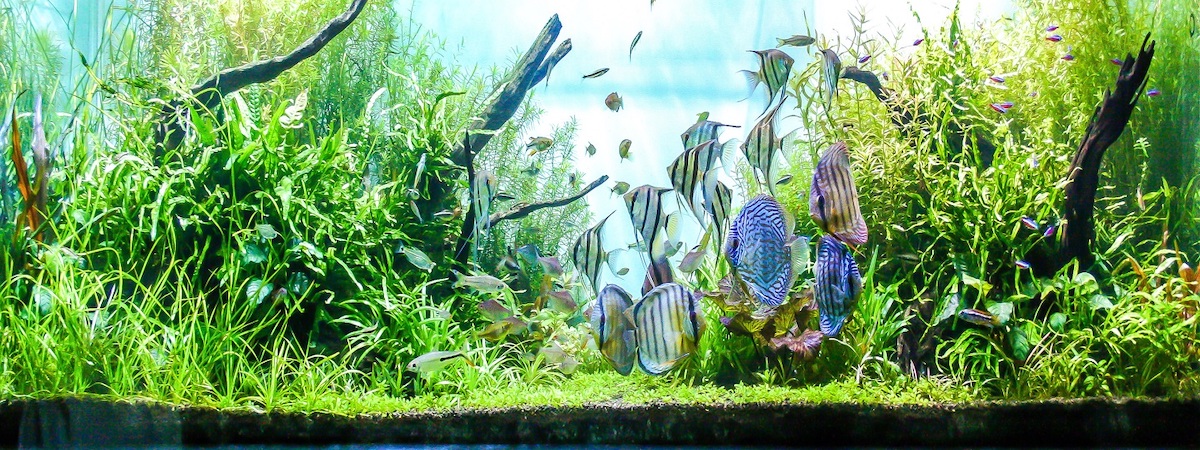 生意轉讓東涌其他零售香港創業・頂讓・生意頂讓・頂手・生意買賣・買生意