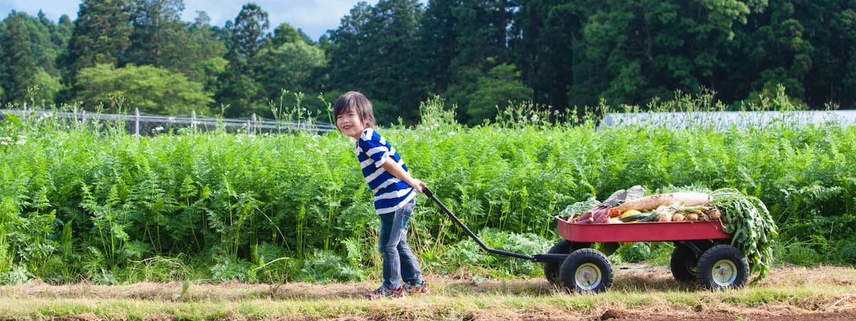 生意轉讓香港其他服務及牌照香港創業・頂讓・生意頂讓・頂手・生意買賣・買生意