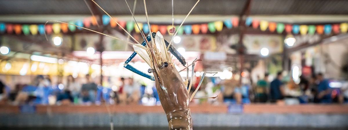 觀塘移民放盤成立約6年員工可留任約5,000呎$14呎租總投資額約$1,200,000位於工廠大廈室內釣蝦場生意轉讓 生意轉讓觀塘其他服務及牌照香港創業・頂讓・生意頂讓・頂手・生意買賣・買生意