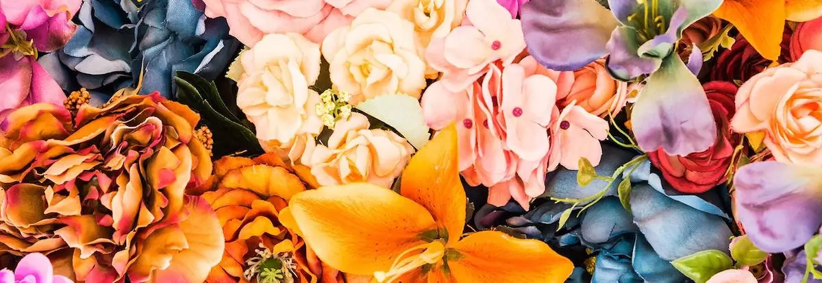 生意轉讓尖沙咀花店香港創業・頂讓・生意頂讓・頂手・生意買賣・買生意