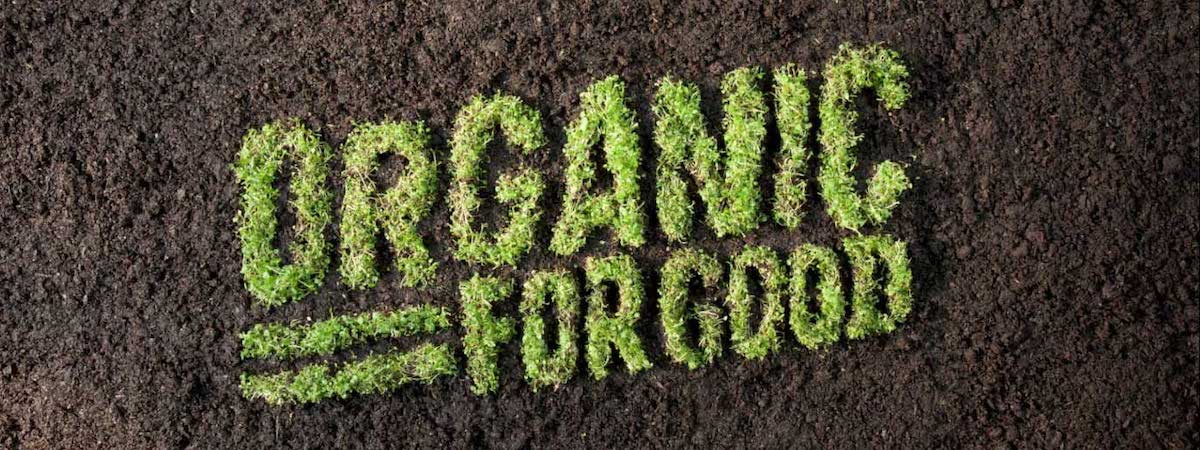 觀塘移民放盤具供應商名單連公司及銀行戶口零售批發食品代理公司資產頂手 生意轉讓觀塘批發貿易香港創業・頂讓・生意頂讓・頂手・生意買賣・買生意