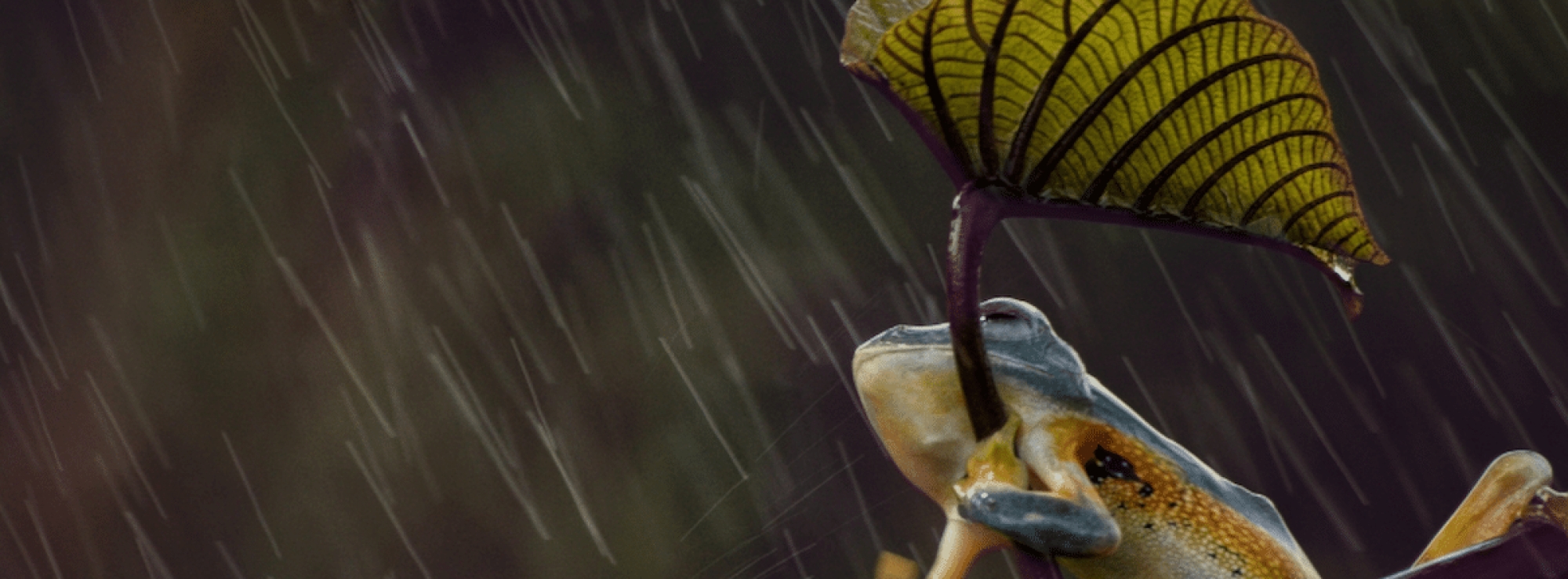 生意轉讓及頂讓合約協議書10大注意